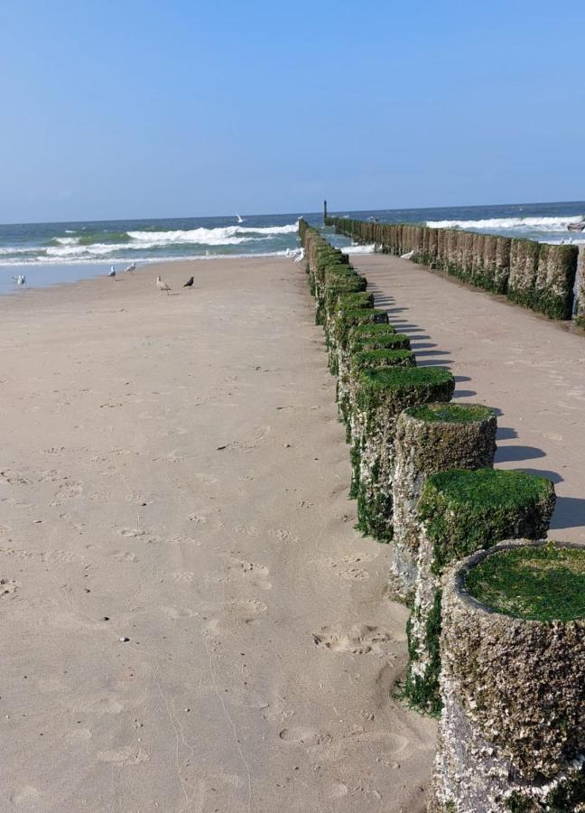 Bed and Breakfast De Notenbalk Aan Zee Vlissingen Exteriér fotografie