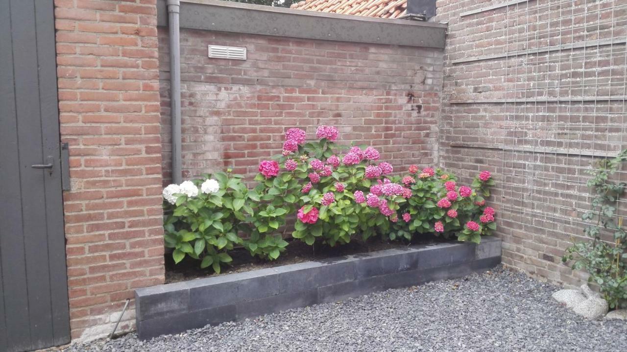 Bed and Breakfast De Notenbalk Aan Zee Vlissingen Exteriér fotografie